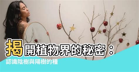 陰樹陽樹種類